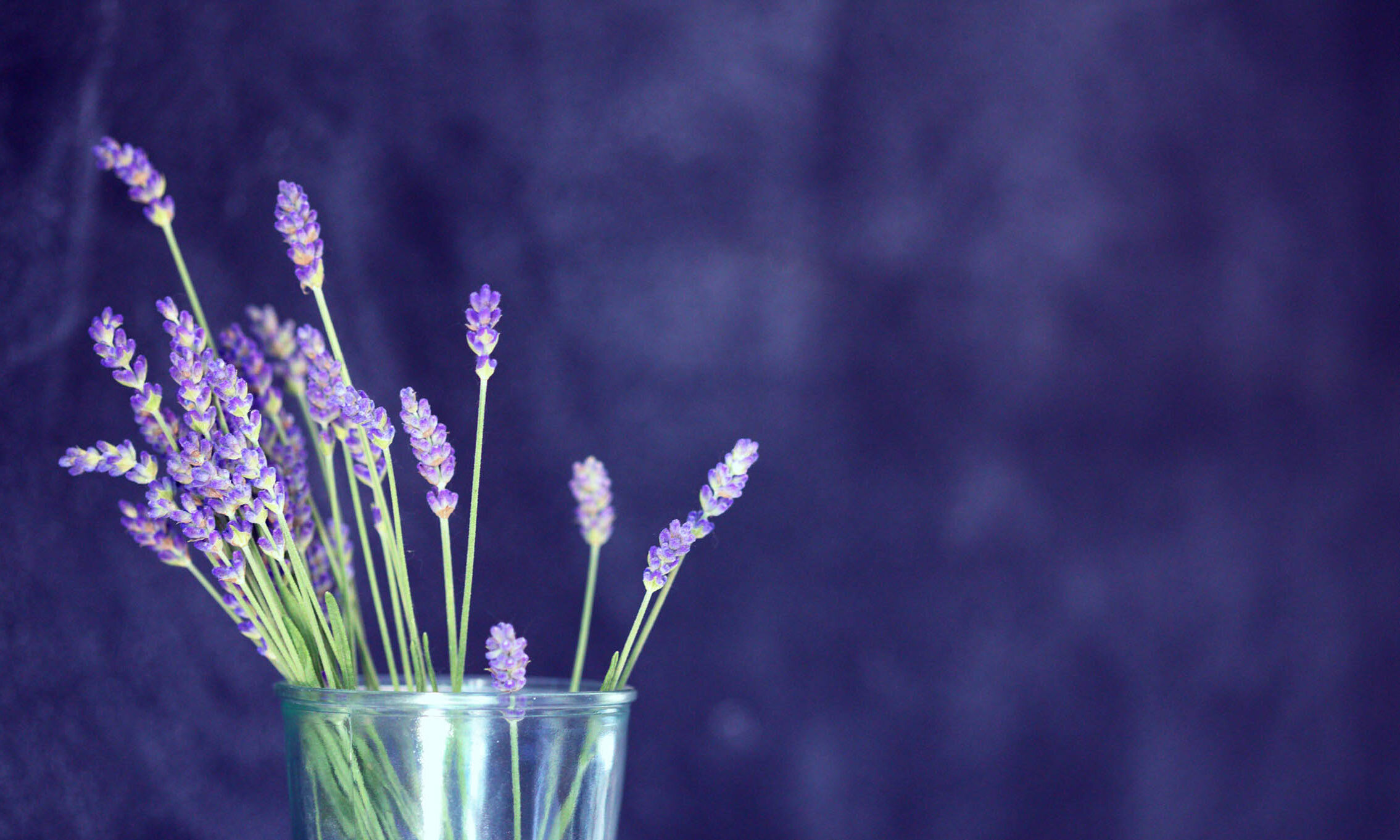 Nourished Beginnings